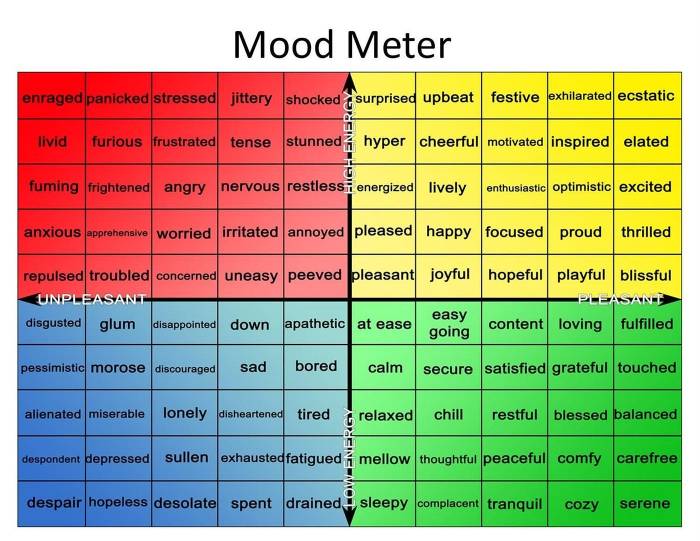 Permission to feel mood meter