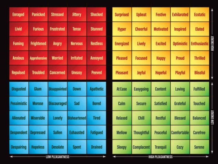 Emotions zones elementary management regulation