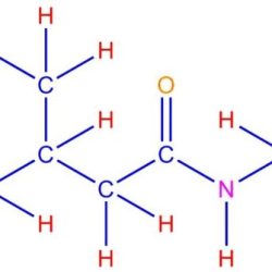 Draw n ethyl 3 methylpentanamide