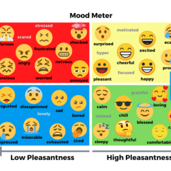 Permission to feel mood meter