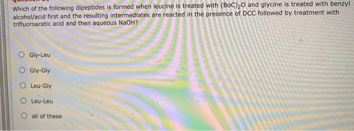 Which of the following dipeptides will be formed