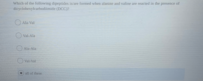 Which of the following dipeptides will be formed