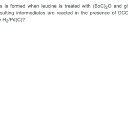 Reaction solved correctly following formed dipeptides many transcribed problem text been show has acid explains sulfuric below which